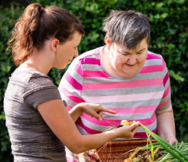 Gardening / House And Yard Maintenance